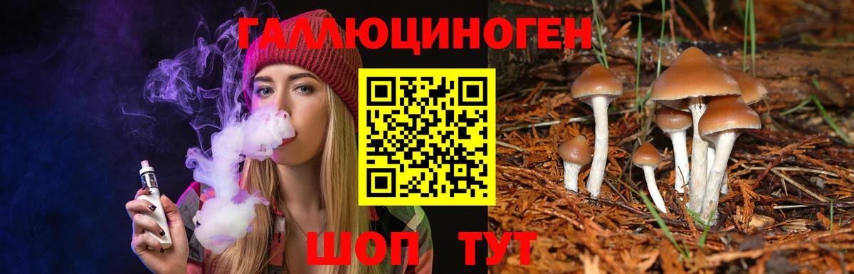 Псилоцибиновые грибы MAGIC MUSHROOMS  продажа наркотиков  Киров  Вход с VPN 